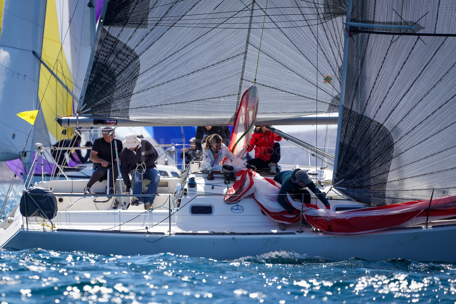 SNIM_J3 2022-02910.jpg