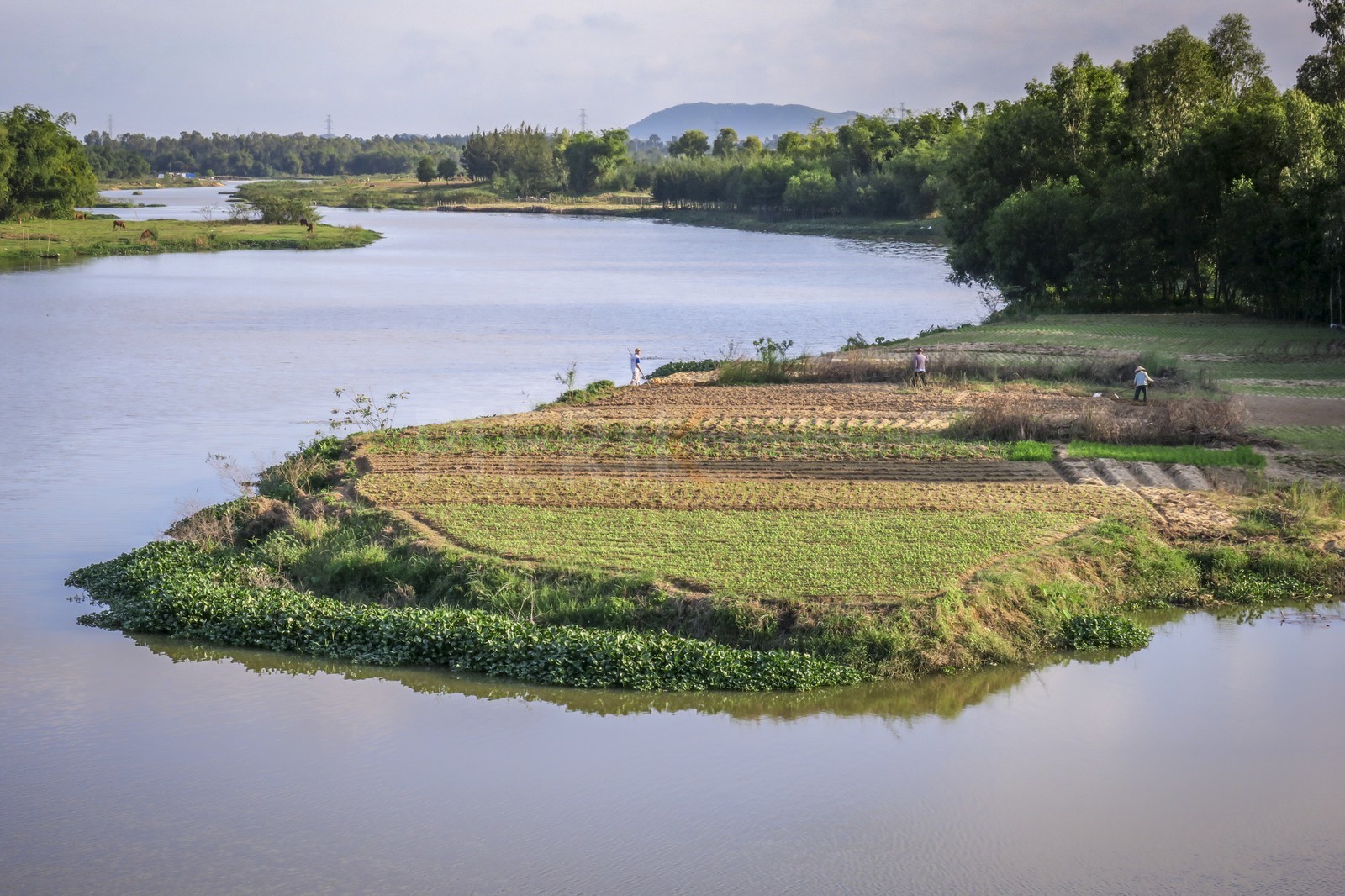 Hoi An-48.jpg