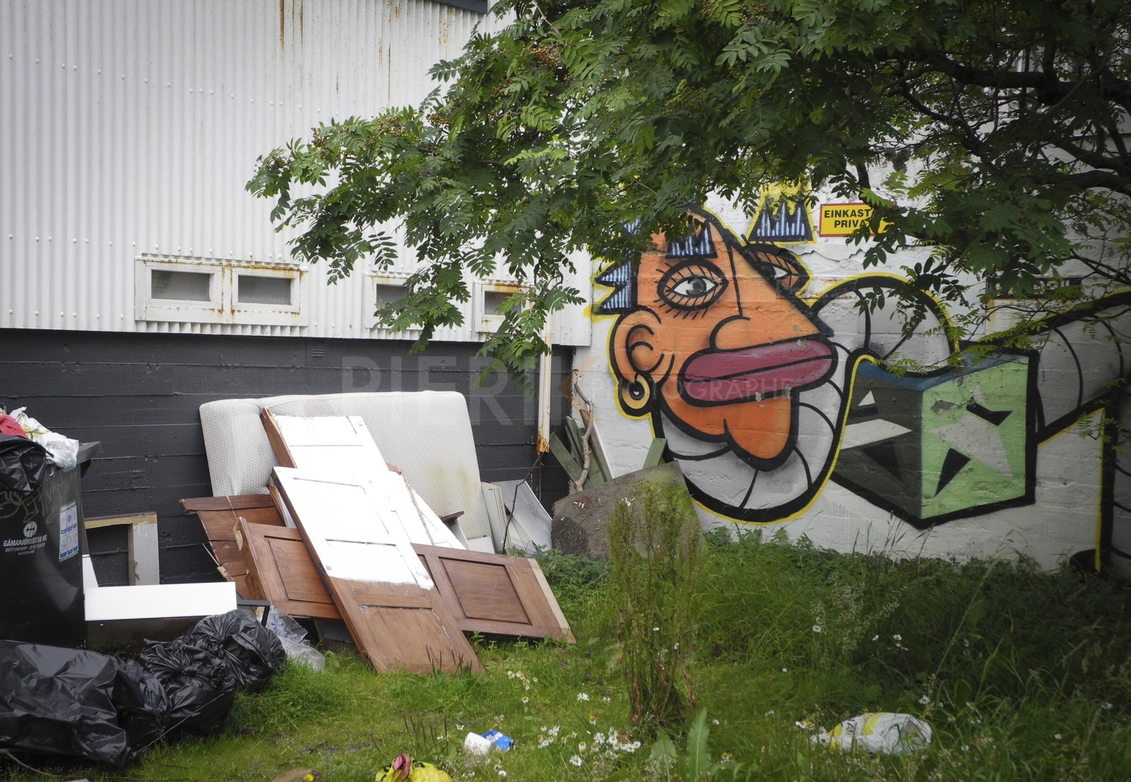 DSCN5714.jpg