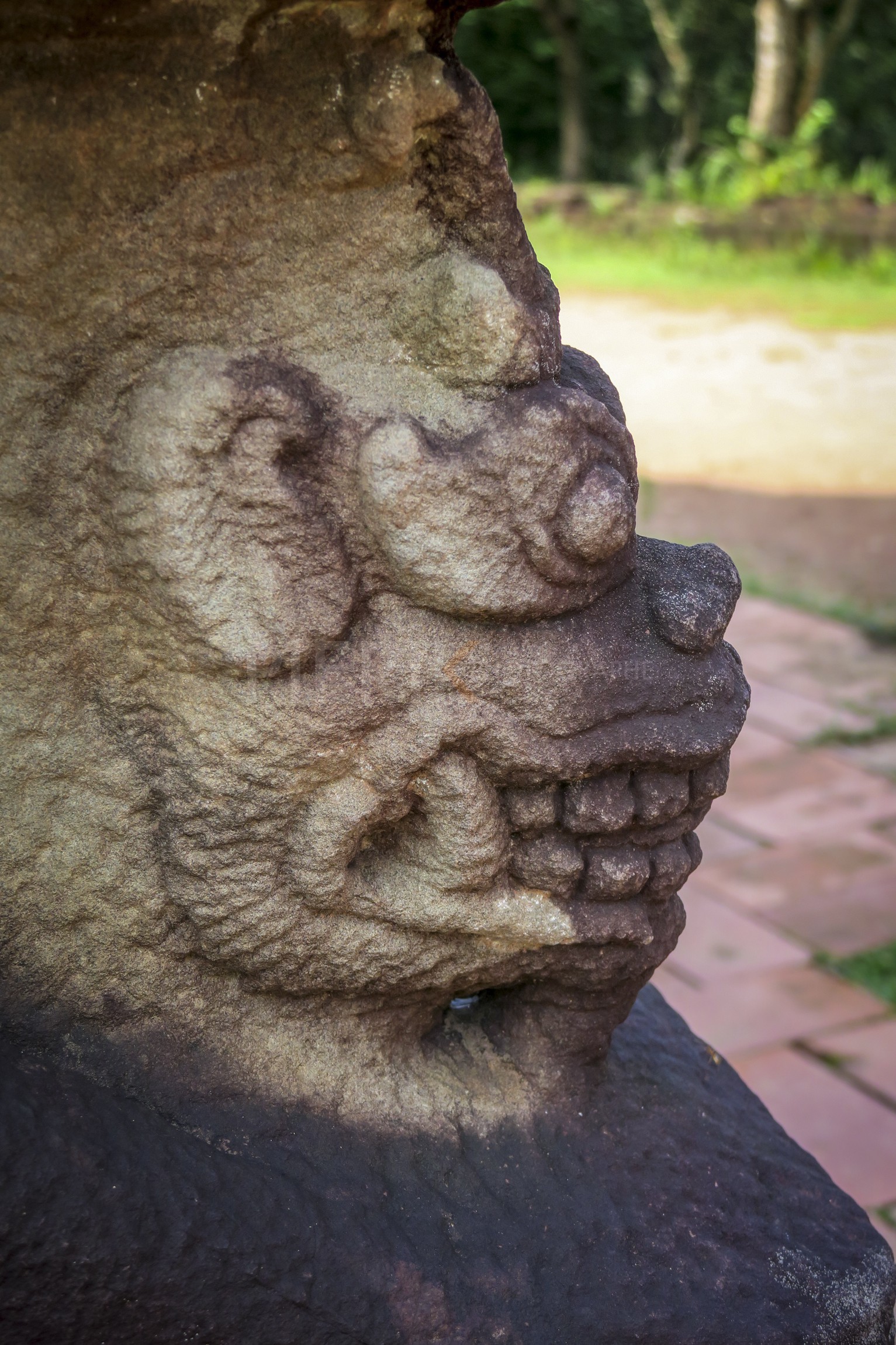 Hoi An-34.jpg