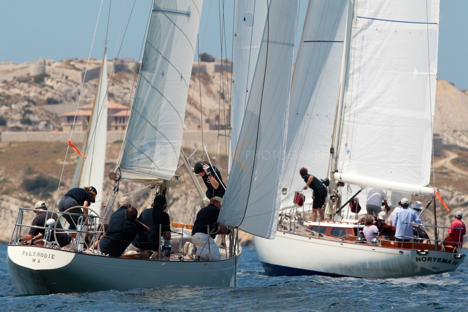 Palynodie II vs Noryema