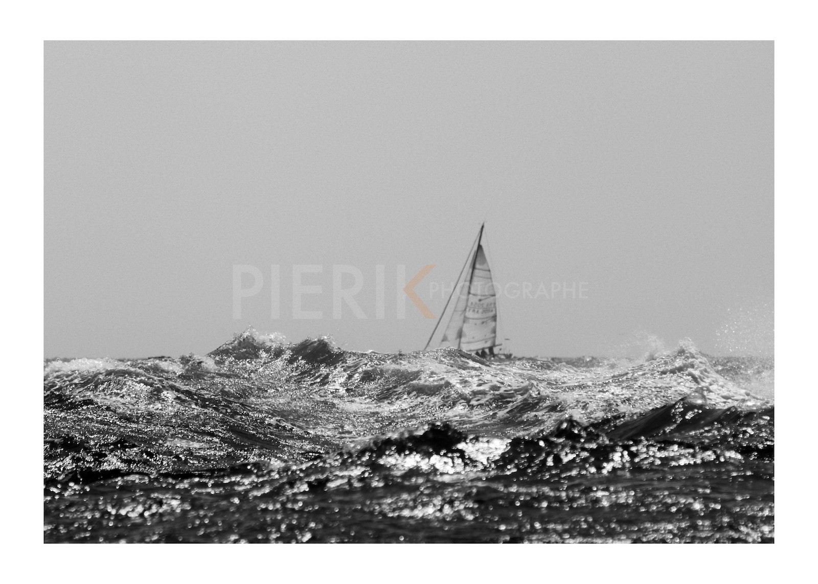 Palynodie dans le vent