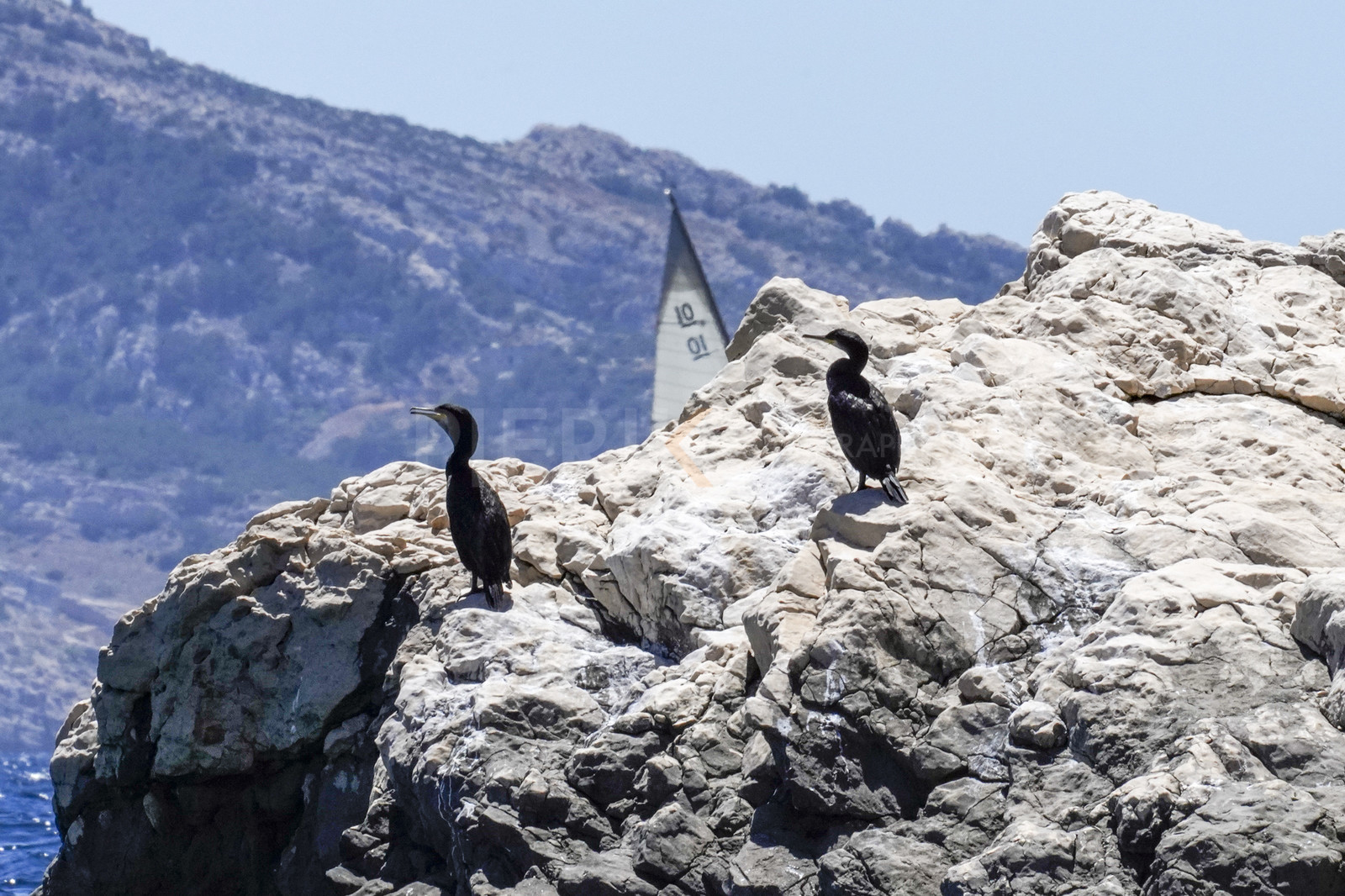 CALANQUES©Pierik-9642.jpg