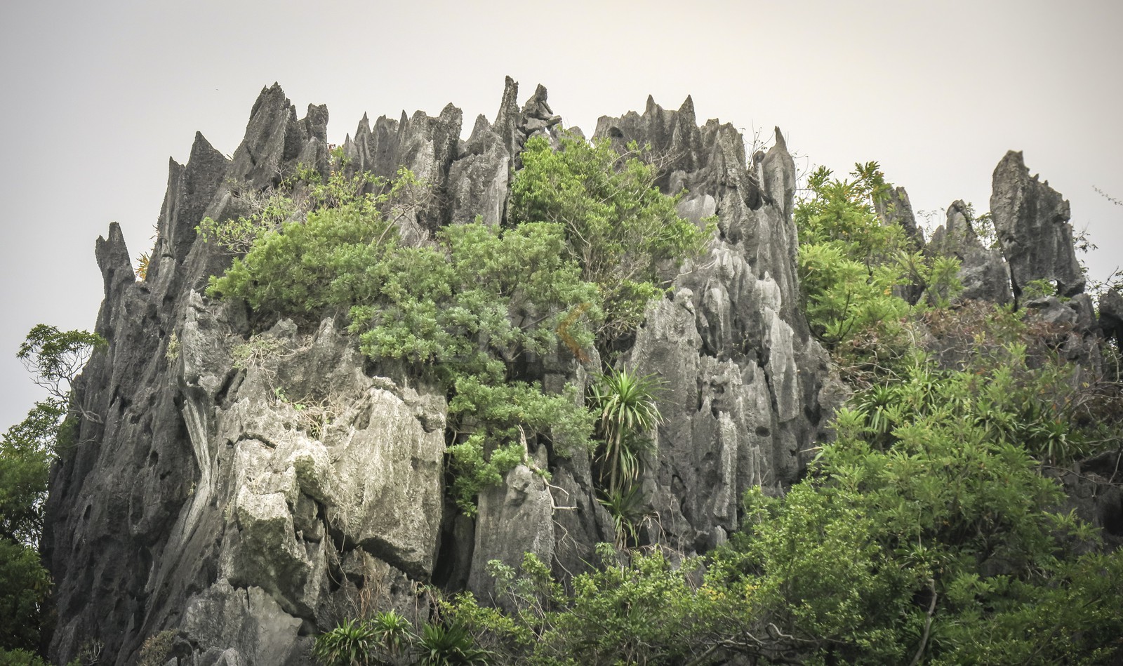 Halong bay-2.jpg