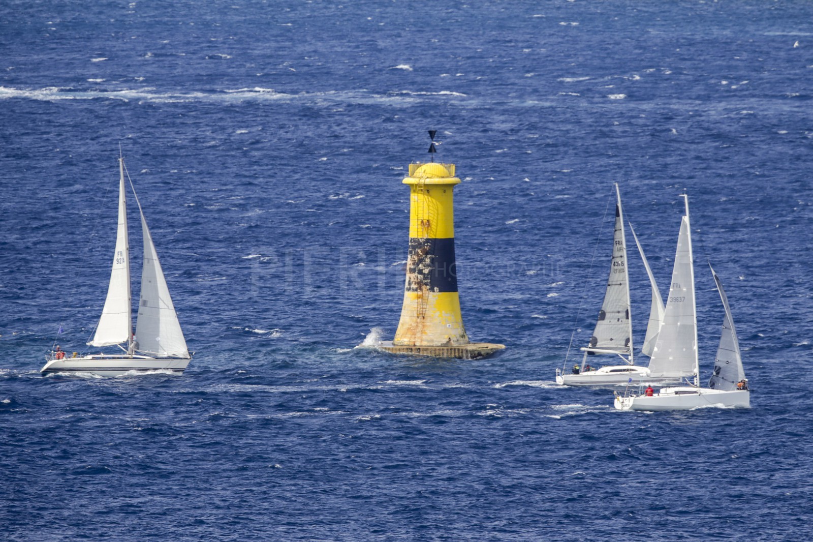 A29X0478.jpg