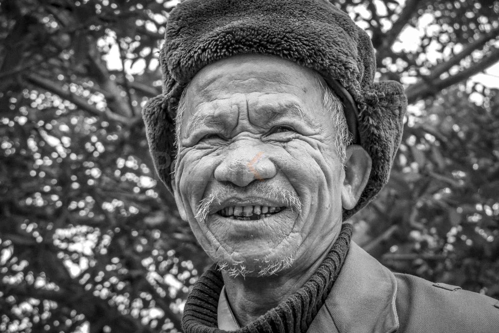 Tam Coc-15.jpg