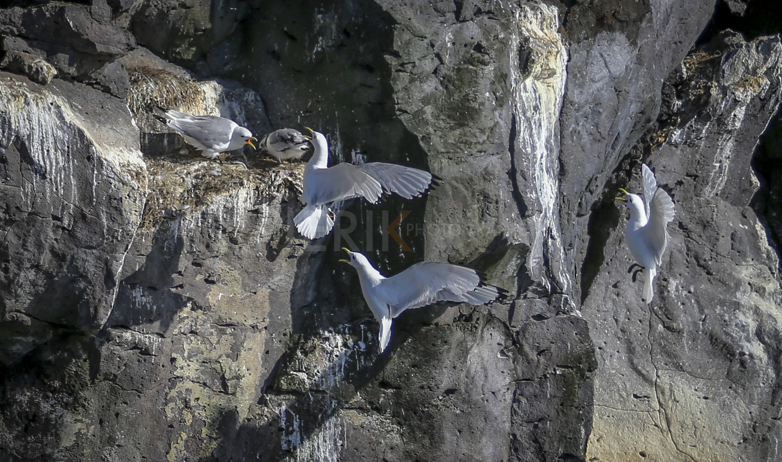 A29X3558.jpg