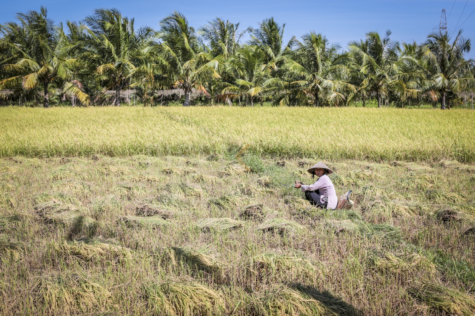 BenTre-89.jpg