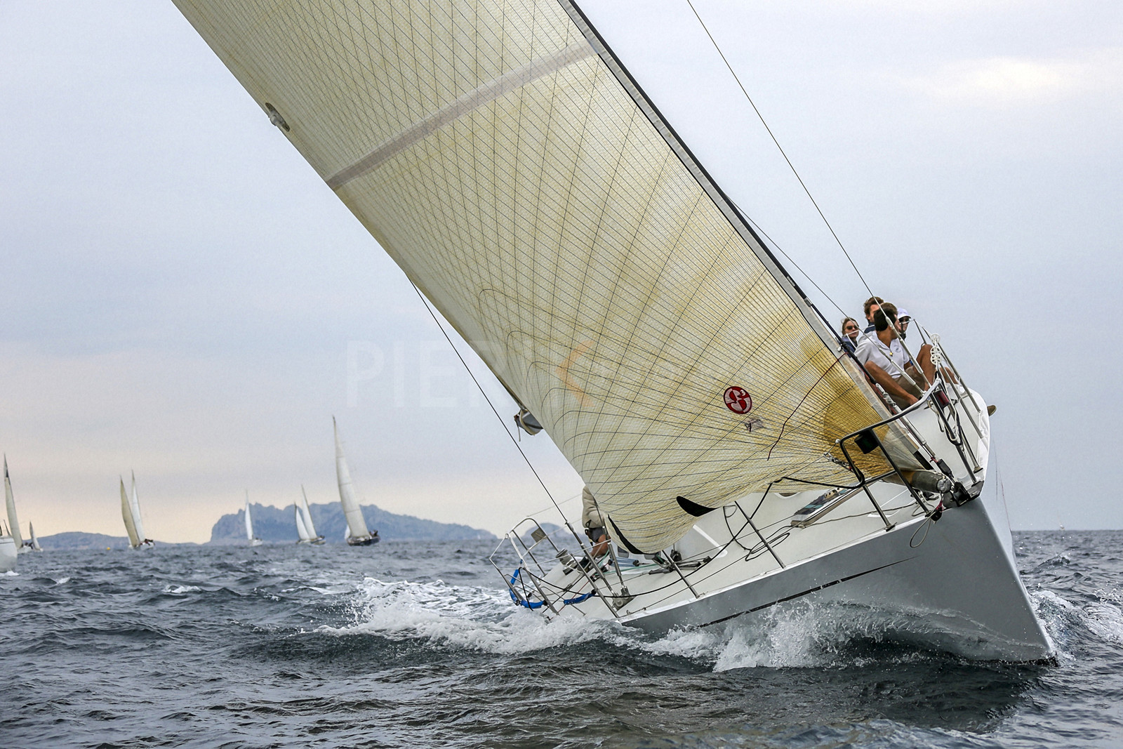 VireVire2014-157.jpg