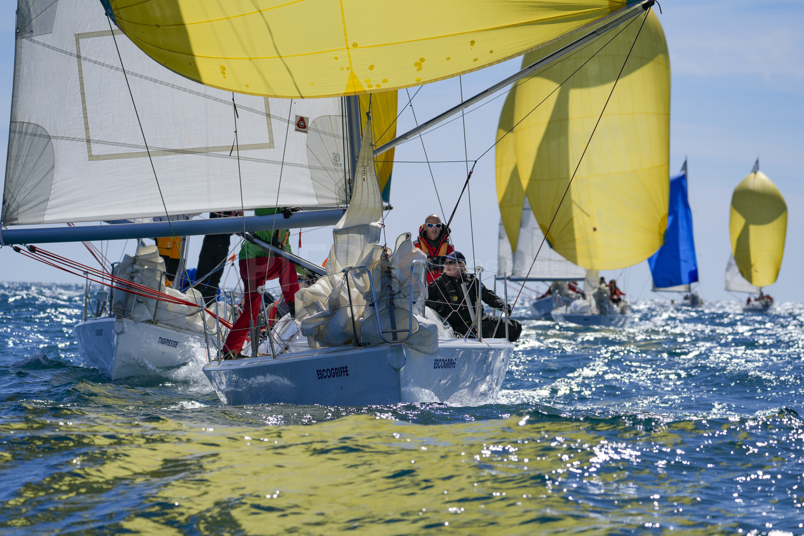 _DSC3704.jpg