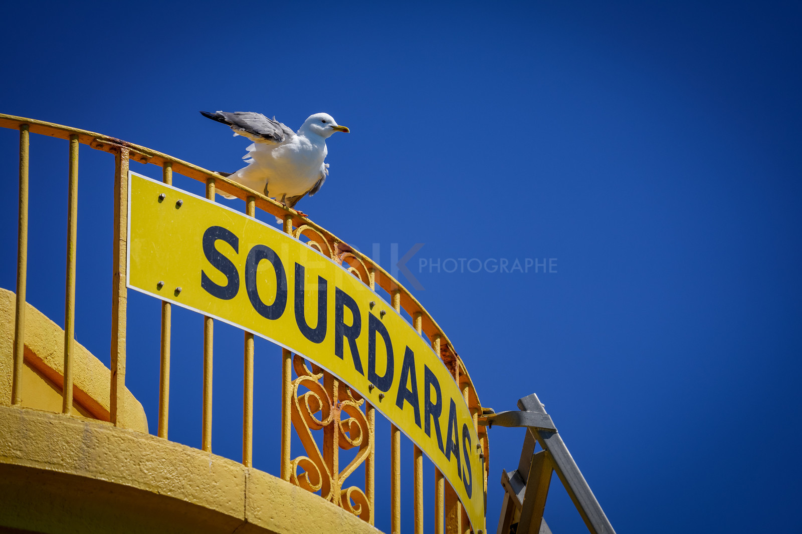 SNIM_J3 2022-03317.jpg