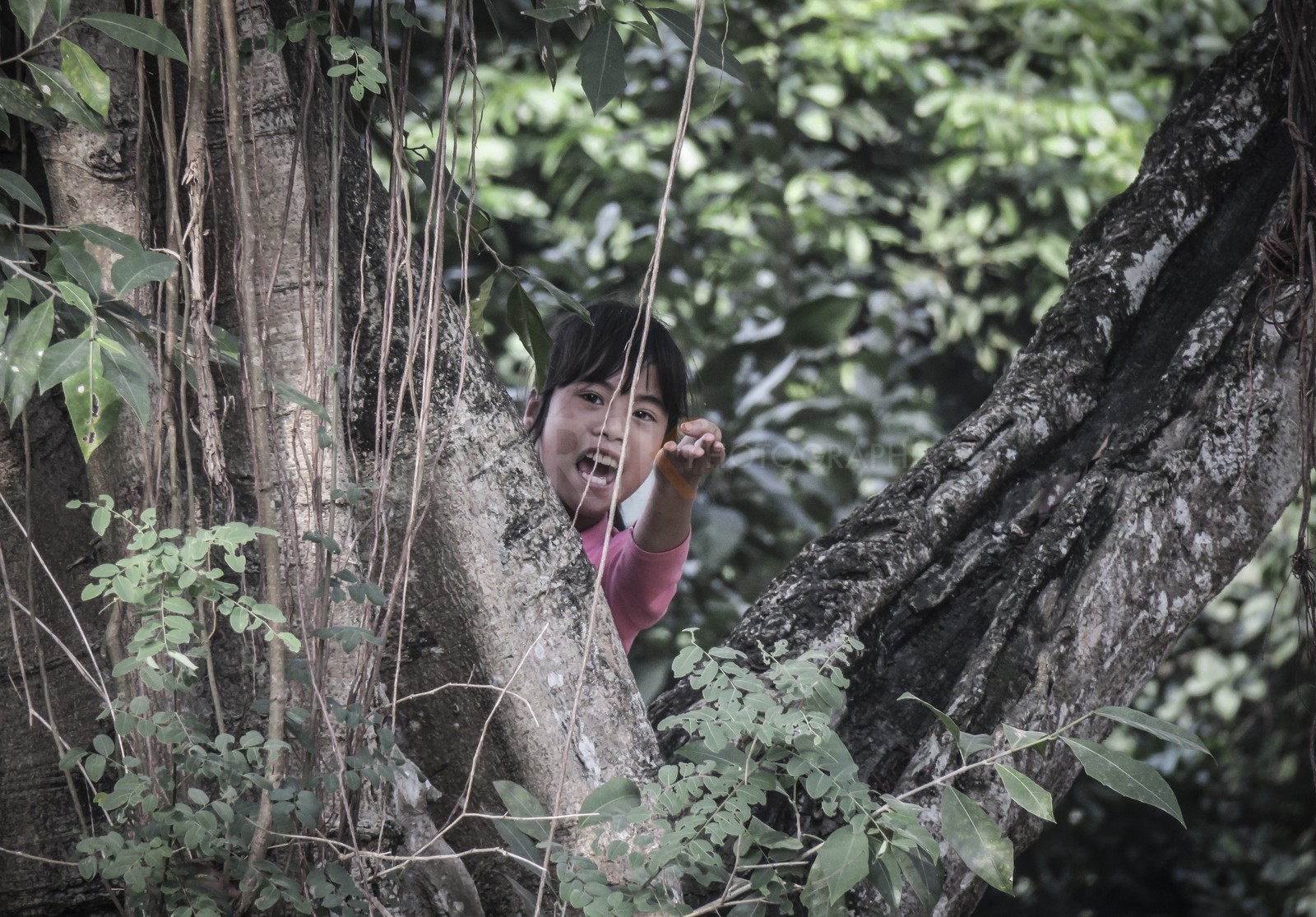Tam Coc-52.jpg