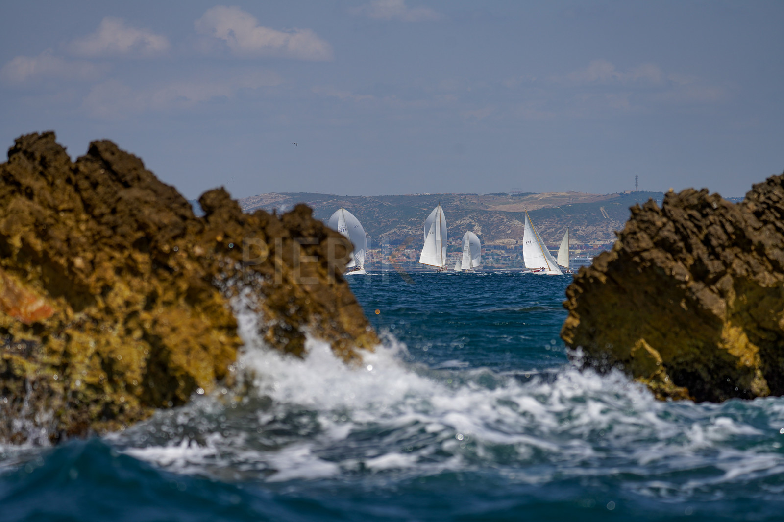 DSC09662.jpg
