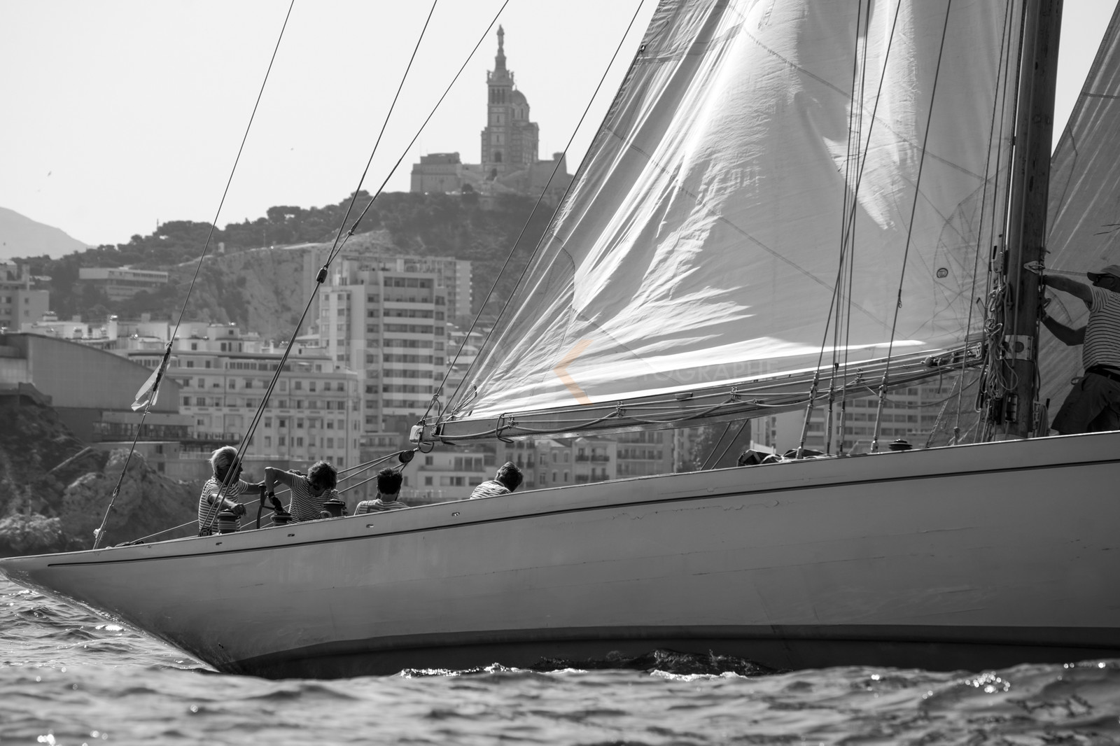 VVP_2023-6856.jpg